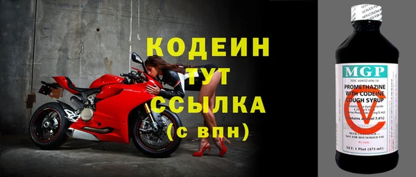 прущие грибы Волоколамск