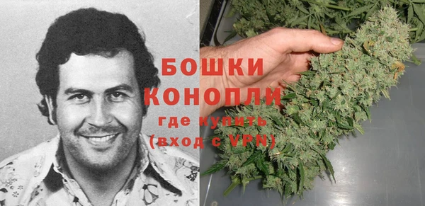 прущие грибы Волоколамск